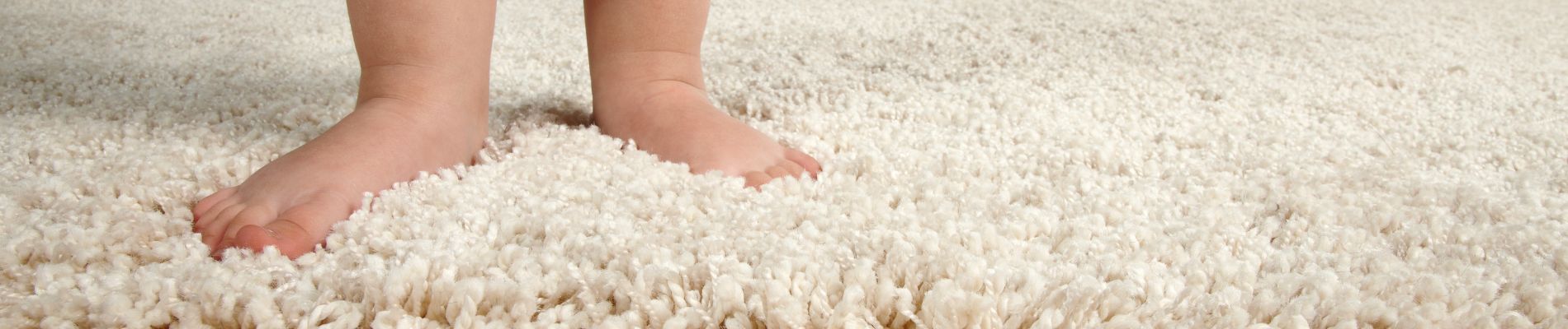 Banner 07-Carpet